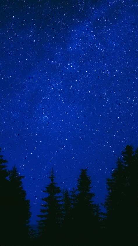Download Wallpaper 1350x2400 Trees Starry Sky Night Dark Blue