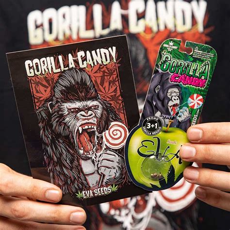 Pack Gorilla Candy Lovers Eva Seeds