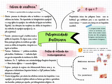 Mapa Mental Patogenicidade Bacteriana E Fatores De Virulência