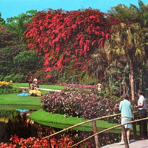 Cypress Gardens Southern Belles Postcard Florida Tourists On Bridge Ck