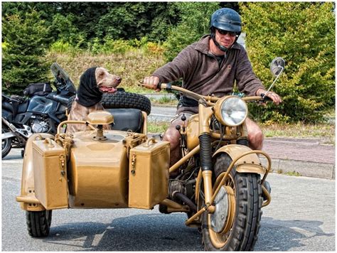 On A Steel Horse I Ride Sidecar Ural Motorcycle Motorcycle