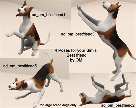 Mod The Sims Best Friend Pose Pack For Dogs Dog Poses Sims