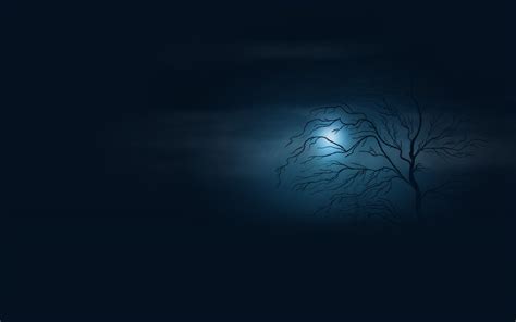 Wallpaper Sunlight Trees Night Minimalism Artwork Moon