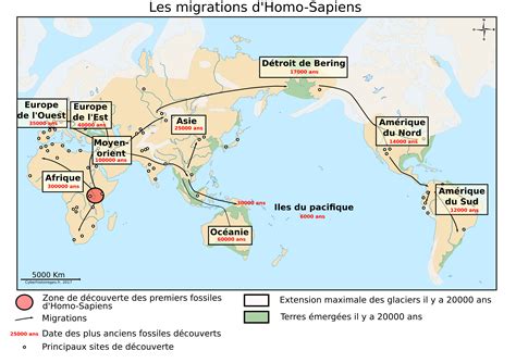 Les Migrations Dhomo Sapiens Cyberhistoiregeo Carto