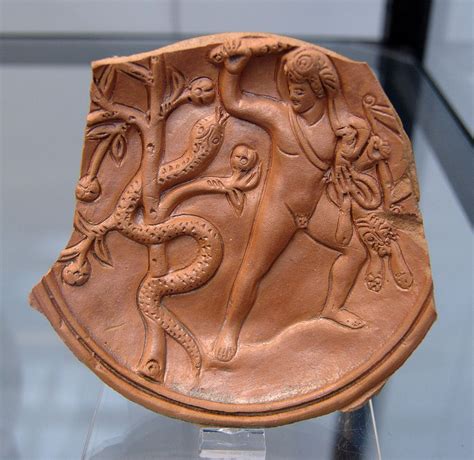 Ladon Greek Mythology Wiki Fandom Powered By Wikia