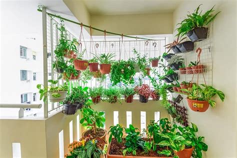 25 Incredible Vegetable Garden Ideas Green And Vibrant Rooftop Garden