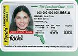 Sign Up For Drivers License Test Florida Pictures