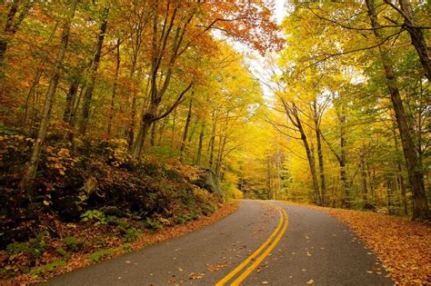 Celebrate the Arrival of Autumn With A Vermont Fall Foliage Getaway!
