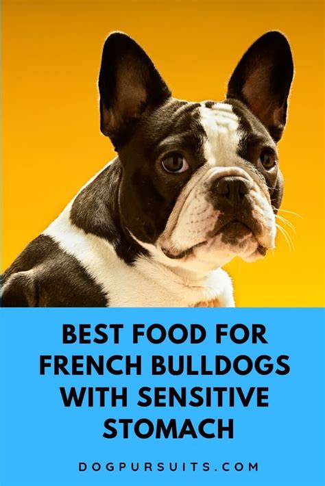 Finding the best food for a dog with a sensitive stomach can be tricky. Discover the Best Food for French Bulldogs with Sensitive ...