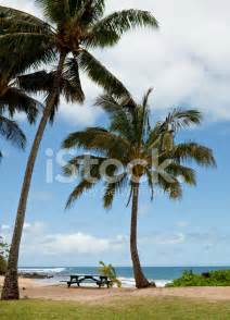 Nice Picnic Spot On A Tropical Beach Stock Photo Royalty Free