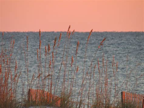 Setting sun in Gulf Shores, Alabama reflects on sea oats and sand