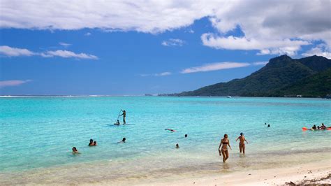 Visitez Temae Le Meilleur De Temae Îles Du Vent Pour 2023 Expedia