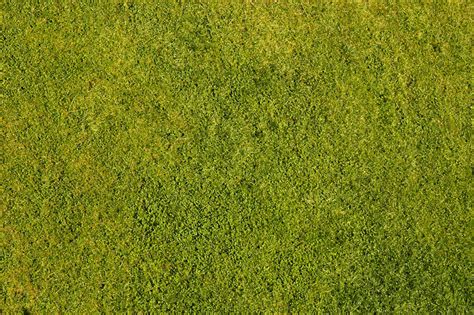 Grass Texture 2 By Digitalwideresource On Deviantart