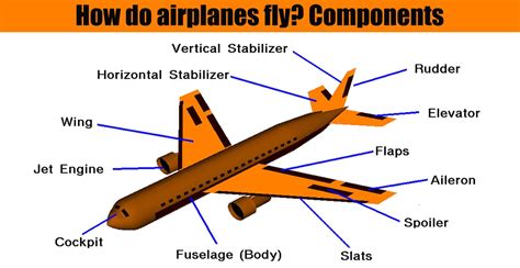How Do Airplanes Fly Components