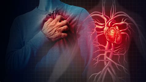 unique findings on risk factors behind cardiovascular disease