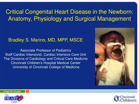 PPT Critical Congenital Heart Disease In The Newborn Anatomy