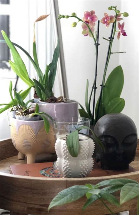 Pin by ManicWishing on Fun Home Decor Ideas | Hobby house ...