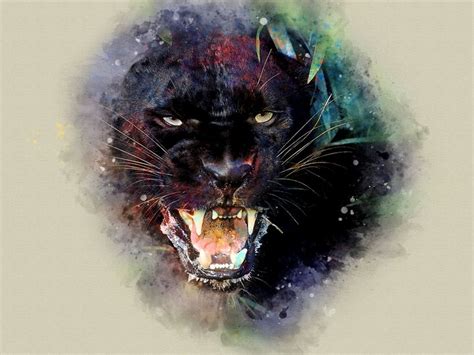Black Panther Art Drawings And Illustration Animals Birds And Fish