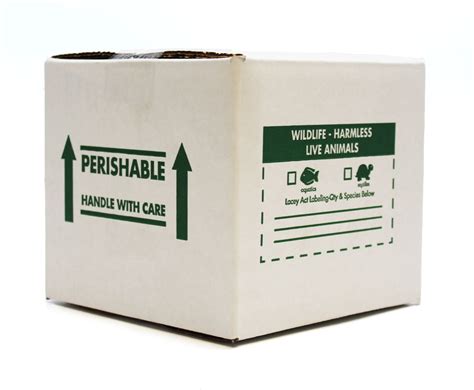 7x7x6 Insulated Reptile Shipping Box Pangea Reptile Llc