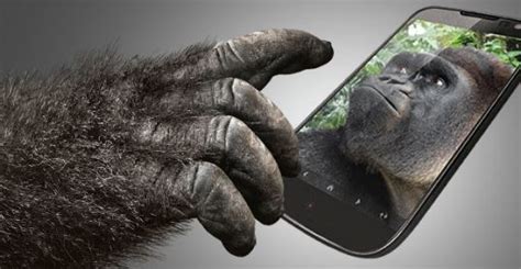 Launched in 2016, gorilla® glass 5 took tough to new heights. Gorilla Glass Cover Glass | Damage and Scratch Resistant ...