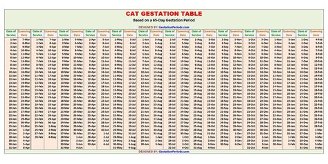 Cat years how old is my cat in human years purina. Cat Gestation Calculator and Chart Printable - Gestation ...