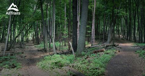 10 Best Trails And Hikes In Ann Arbor Alltrails