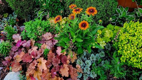 Weekly Garden Tour and Walkabout 🌼💚🌿// Suburban Oasis - YouTube