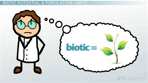 Biotic Potential Definition Graph And Examples Video And Lesson