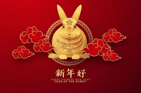 25 Year Of The Rabbit 2023 Images And Wallpaper Free Download In 2022
