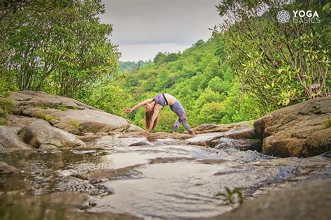 What Is A Yogi And How Do You Become One • Yoga Basics