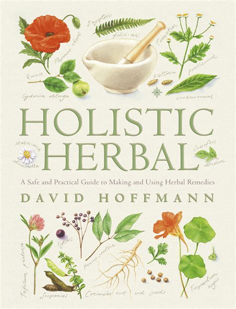Holistic Herbal A Safe And Practical Guide To Making And Using Herbal
