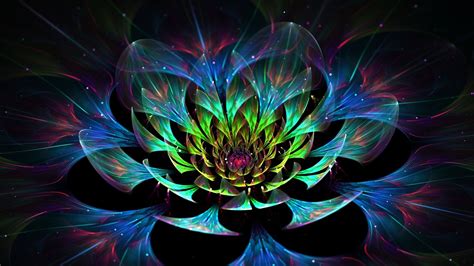 Digital Art Abstract Colorful Fractal Flowers Glowing Wallpapers Hd