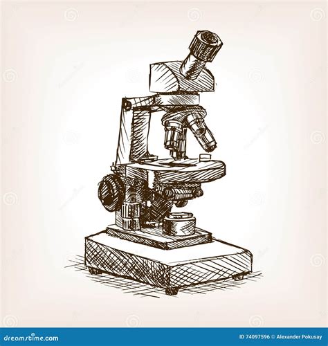 Microscope Sketch Vector Illustration Line Art Colored Style