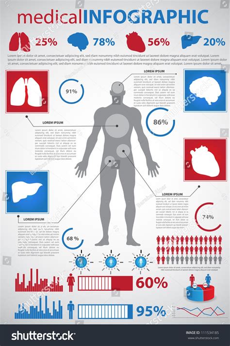 Medical Infographics Human Body With Internal Organs Medical