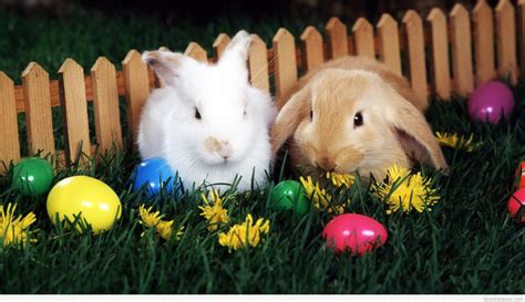 Best easter 2021 wishes, happy easter messages, easter text messages, easter 2021 greetings easter day is a feast and an opportunity to spend a good time with friends and family members. Happy Easter messages wishes 2015