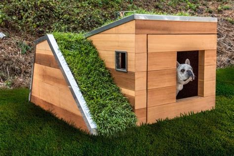 Designer Dog House Puts All Other Dog Houses To Shame Curbed