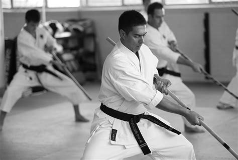 Homepage Te Ashi Kai Shin Karate Do