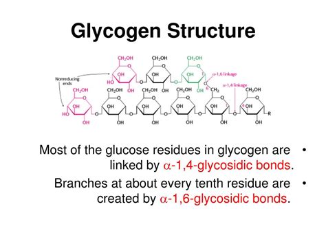 Glycogen Chemical Structure
