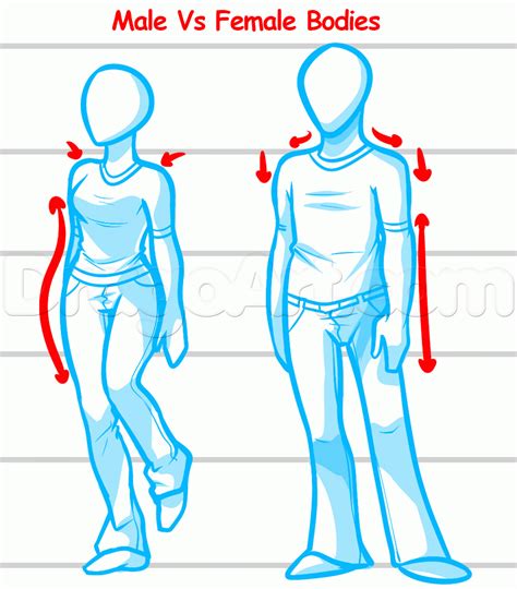 How To Draw A Body For Beginners Step 5 Anatomy Drawing Body Drawing