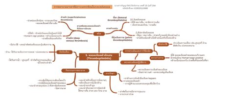 5 หลอดเลือดดำอักเสบ Thrombophlebitis นางสาวกัญญารัตน์ สิงห์ธรรม เลขที่