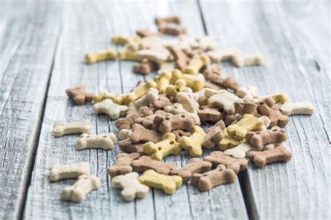 Dog Food Shaped Like Bones Stock Image Colourbox