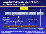 Cleveland Clinic Liver Cancer Pictures