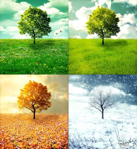 Was Sind Die 4 Arten Von Jahreszeiten Just For