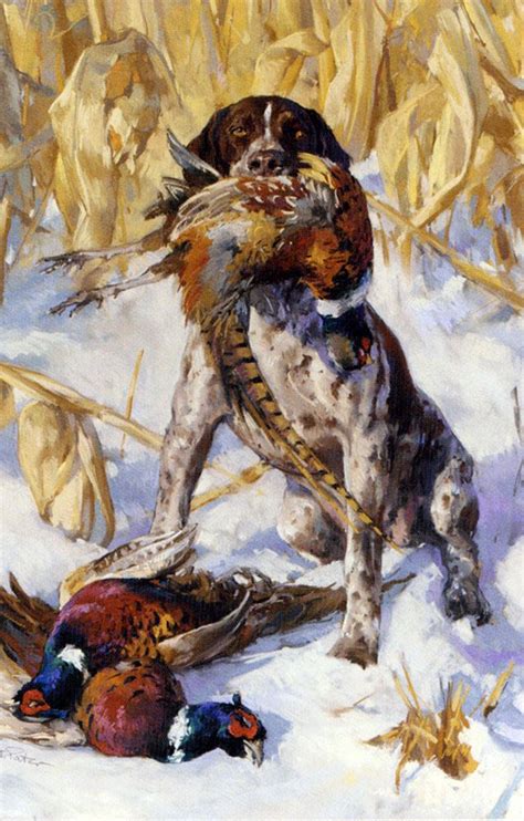 A Pointer And A Pheasant By Andre Pater Pastel On Paper Upland Bird