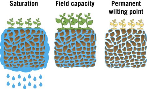 Principles of Irrigation and Scheduling for Vegetable Crops in Georgia