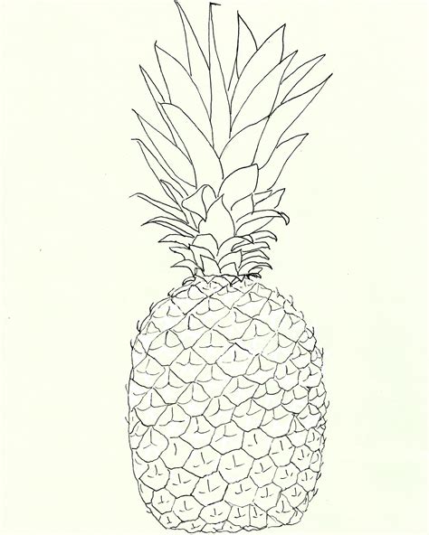 Pineapple Line Art The Graphics Fairy