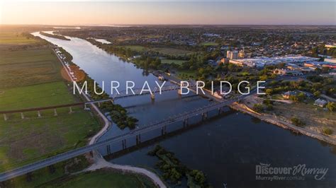 Murray River Bird Aerial Video Murray Bridge Discover Murray River