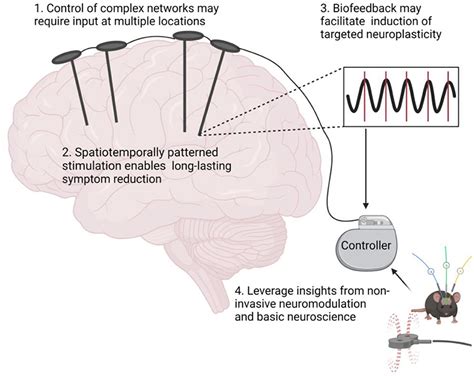 frontiers targeted neuroplasticity in spatiotemporally patterned invasive neuromodulation