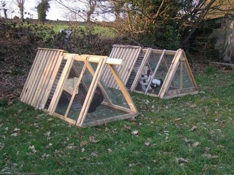 Plan Poulailler Triangle Chicken Coops