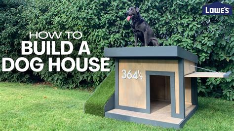 How To Build A Dog House Home Improvement Or Diy